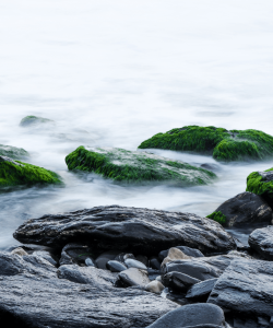 Untitled design (29)