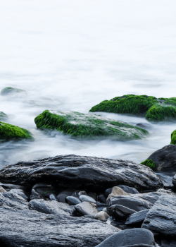 Untitled design (29)