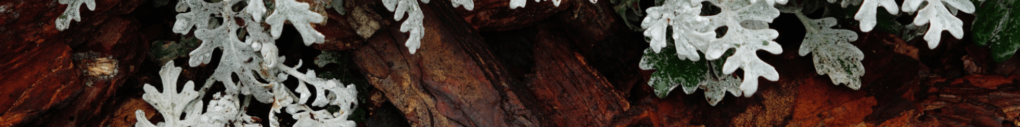 Untitled design (39)