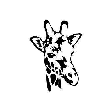 giraffe-head